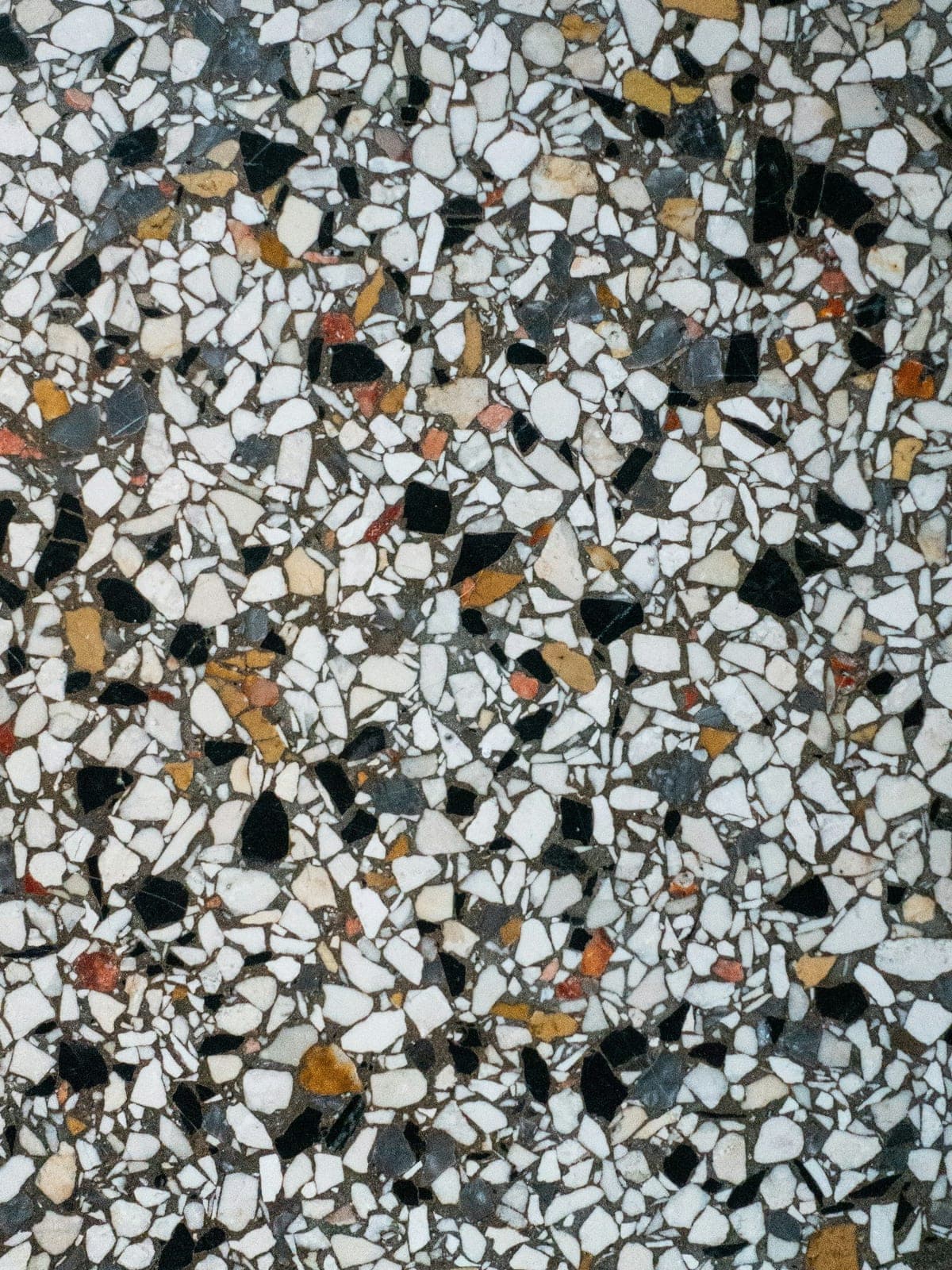 The same terrazzo ground, filled and polished to a continuous sheen